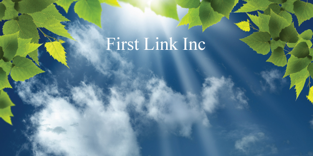 First Link Inc.